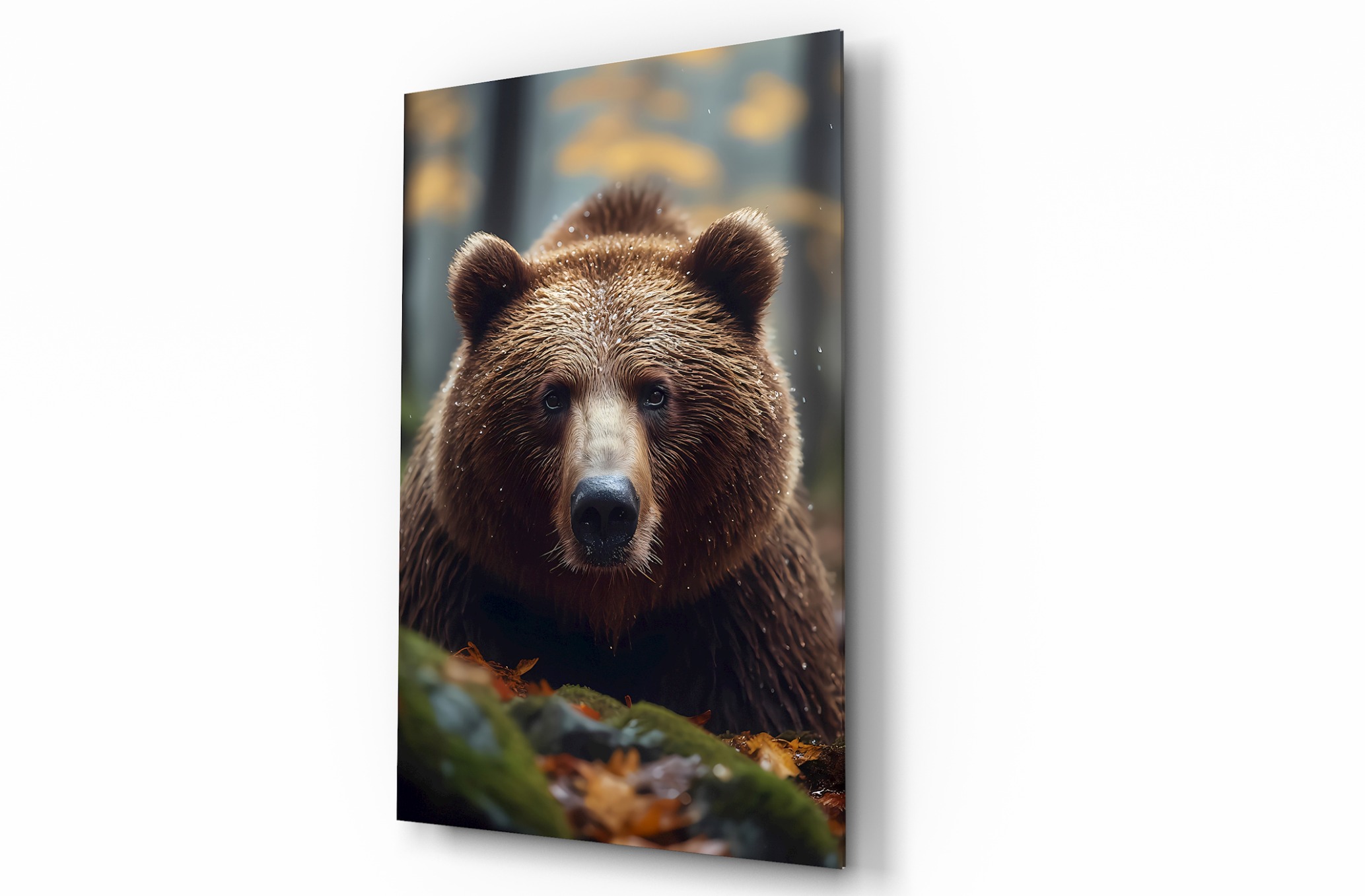 Ayı Hayvan Temalı Dekoratif Cam Tablo, Duvar Dekoru H0006