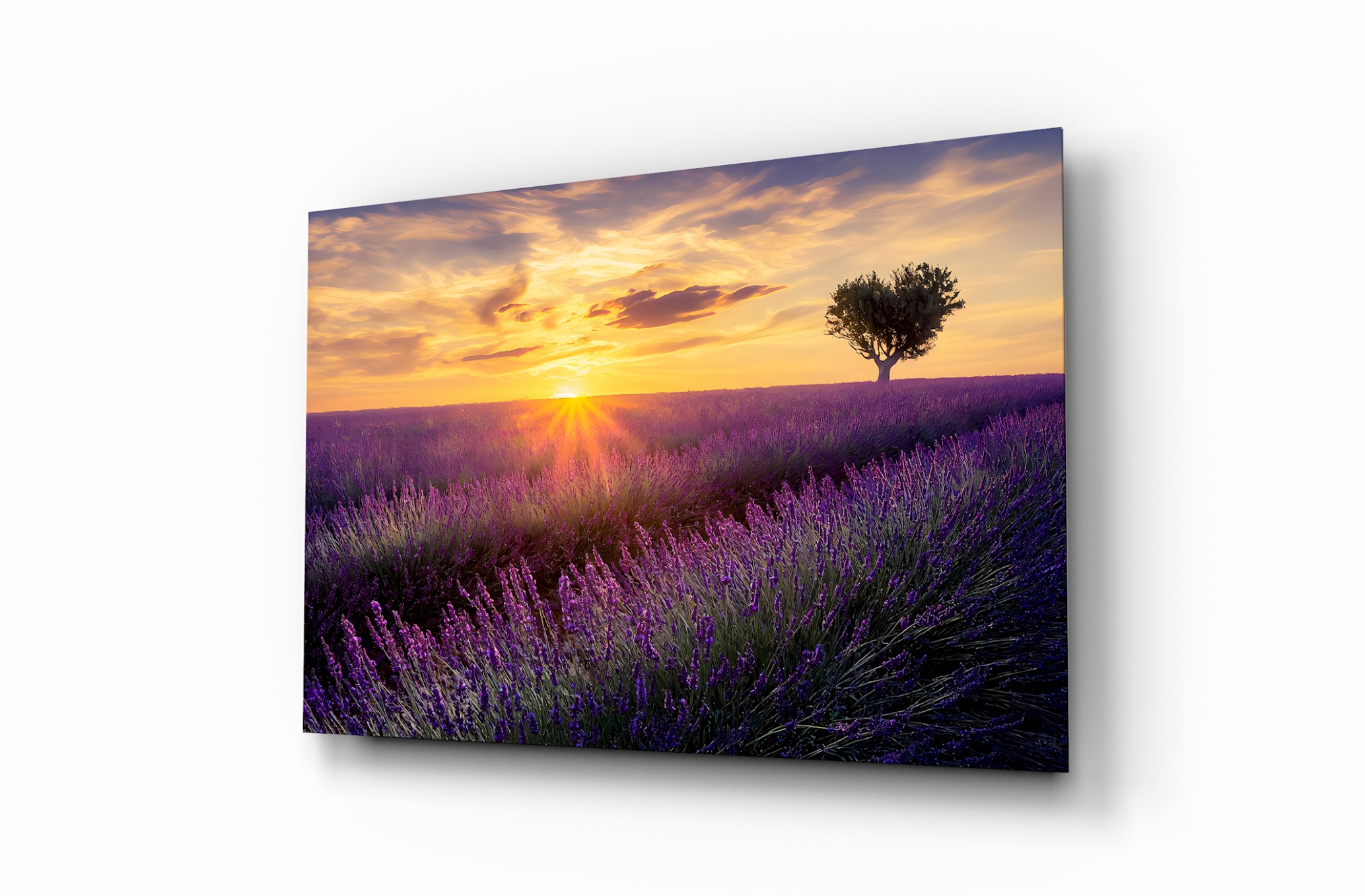 Günbatımında Çiçekler Dekoratif Cam Tablo, Duvar Dekoru M0013