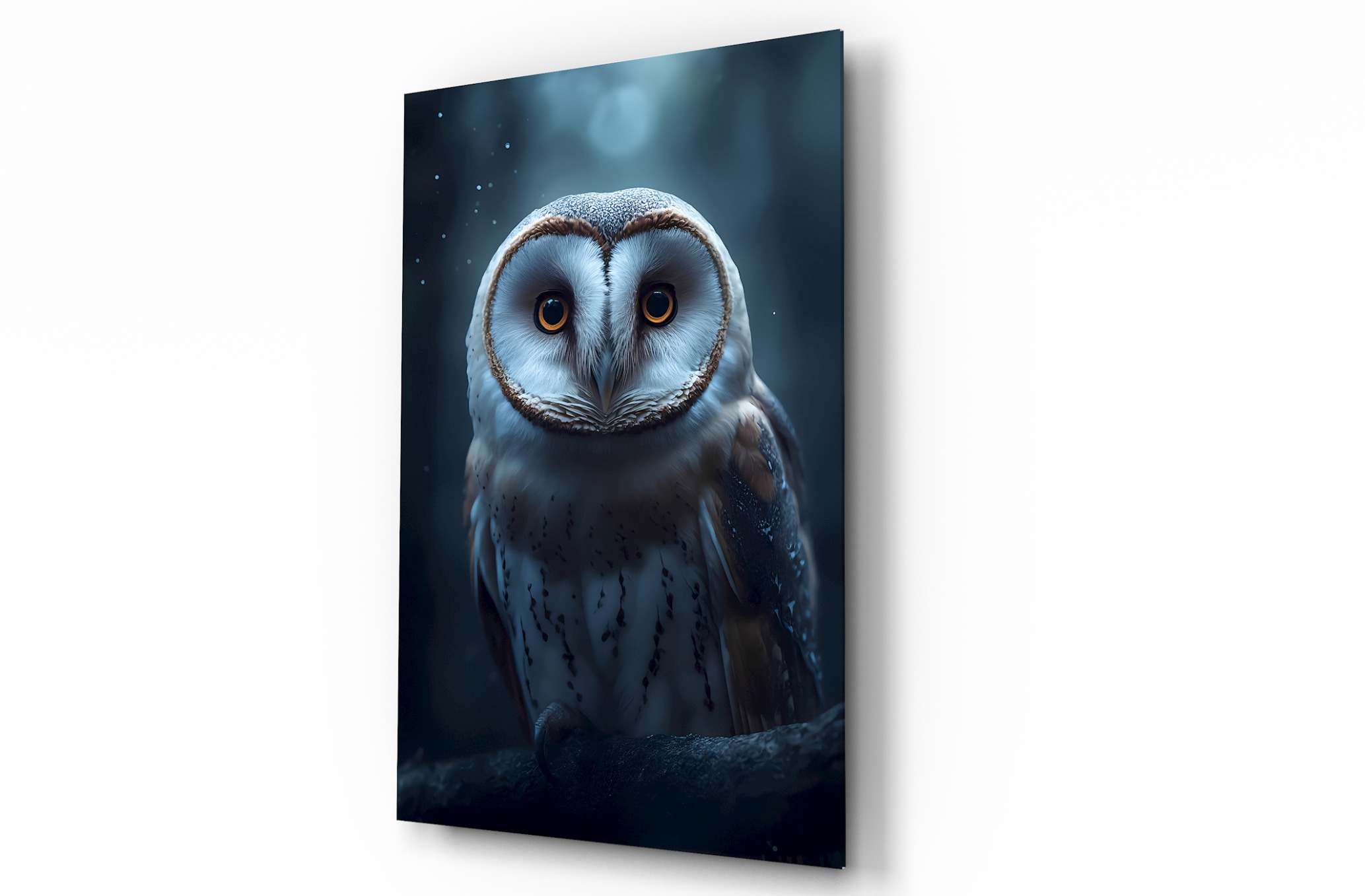 Baykuş Hayvan Temalı Dekoratif Cam Tablo, Duvar Dekoru H0008